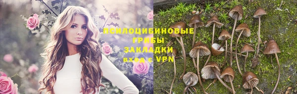 мяу мяу кристалл Коряжма