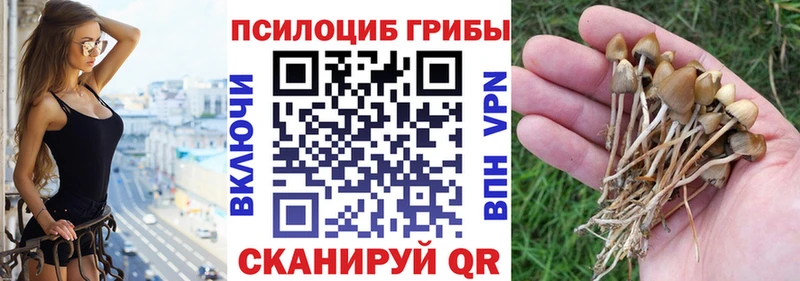Купить где  Артёмовск  Псилоцибиновые грибы MAGIC MUSHROOMS 